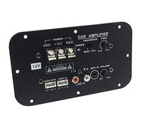 Povhhee Scheda 'Amplificatore per Subwoofer per, Scheda 'Amplificatore per HiFi Ad Potenza Subwoofer da 500 W DC 12V