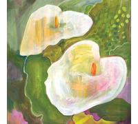 Powell, Mae - Making Room for the Light