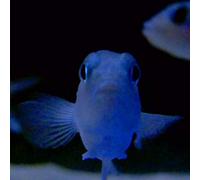 on the feet of a wind