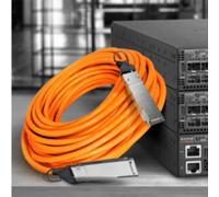 Power Cord for VIIG to C13, Europe, 250V 16A