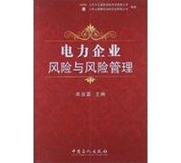 Power Enterprise Risk and Risk Management(Chinese Edition)