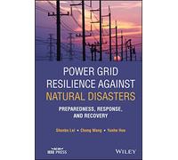 Power Grid Resilience against Natural Disasters: Preparedness, Response, and Recovery