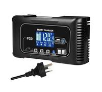 Power Inverter Caricabatterie Per 10A/20A 12V 24V Caricabatterie A Impulsi Completamente Automatico Per Manutenzione Batterie Al Litio Lifepo4 AGM Al Piombo-acido(20A Charger-AU Plug)