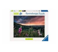 Power of Nature Puzzle a Storm Is Drawing (1000 parti) 1 St