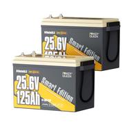 Power Queen 25.6V 125Ah Batteria al litio 2 pz per Imbarcazione
