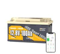 Power Queen Batteria al litio Bluetooth 12V 100Ah H190 per Camper
