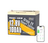 Power Queen LiFePO4 batteria 12V100Ah Group 24 per Camper