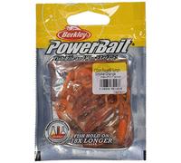 PowerBait FW Power Nymph - Esca da pesca, PBHPN1-SMO, Arancione Fumo, 1 Inches