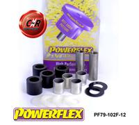 Powerflex Anteriore Forcella Inferiore RR Spazzole 12mm per Tvr Sagaris 04-06