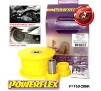 Powerflex Cane Osso Motore Mnt Kit Boccole per Renault Scenic i (1997-2002)