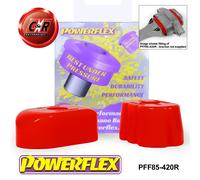 Powerflex PFF85-420R Supporto motore