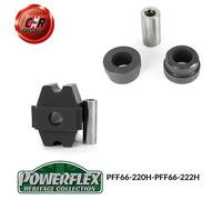 Powerflex Heritage Motore Coppia Asta Spazzole Auto Benzina