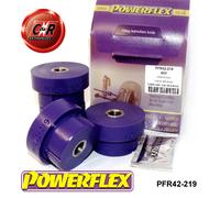 Powerflex Road Posteriore Inferiore Braccio Tirante Spazzole per Rover
