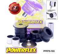 Powerflex Posteriore Inferiore Forcella Interno Spazzole per Tvr Tuscan 99-06