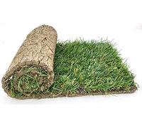 POWERS TO FLOWERS - PRATO A ROTOLI, ERBA A ROTOLO VERA, ERBA DA GIARDINO, 10 ROTOLI DA 40cm x 123cm, pianta vera