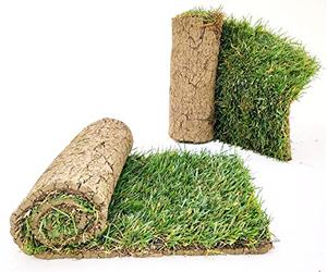 POWERS TO FLOWERS - PRATO A ROTOLI, ERBA A ROTOLO VERA, ERBA DA GIARDINO, 2 ROTOLI DA 40cm x 123cm, pianta vera