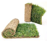 POWERS TO FLOWERS - PRATO A ROTOLI, ERBA A ROTOLO VERA, ERBA DA GIARDINO, 6 ROTOLI DA 40cm x 123cm, pianta vera