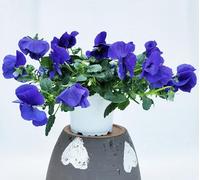 POWERS TO FLOWERS - VIOLE DEL PENSIERO, VIOLA A FIORE PENDULO BLU, SET 3 PIANTE VASO 12CM DIAMETRO, piante vere