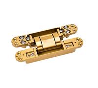 POWTAXBJGD Cerniere 3D regolabili per nascondere la porta in legno, cerniera a croce nascosta, cancello automatico a chiusura automatica, cerniere nere resistenti, portante 80 kg (colore: oro)
