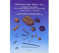 Pozzuolo del Friuli. La prima età del ferro nel settore meridionale del castelliere. Le attività produttive e i resti faunistici (Vol. 2/2)