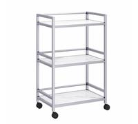 PP-Vic Carrello Per Salone Di Bellezza, Carrello Di Servizio Mobile in Metallo, Postazione Di Stoccaggio Per Parrucchieri, Grande Carrello Mobile Per L'organizzazione, Bagno, Cucina,3f silver
