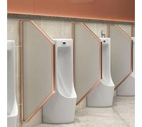 PP-Vic Schermo Per La Privacy Dell'orinatoio Da Uomo,Schermo Divisorio Per Orinatoio A Parete,Divisorio Protettivo Per Orinatoio in Acciaio Inossidabile,Il Bagno Con Vetro Temperato,Rosa