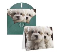 PPTHSNVB Biglietti di auguri con busta, biglietti vuoti con simpatico cucciolo maltese, biglietto di ringraziamento divertente, 10,2 x 15,2 cm, biglietto di auguri per matrimonio, insegnanti, San