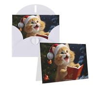 PPTHSNVB Biglietti di auguri con busta, biglietti vuoti con simpatico gatto che canta canti natalizi divertenti biglietti di ringraziamento 10,2 x 15,2 cm biglietto di compleanno Get Well biglietti