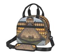 PPTHSNVB Borsa termica per il pranzo del Museo del Louvre di Parigi, per donne e uomini, adulti, borsa termica per il pranzo, a prova di perdite, riutilizzabile, con tracolla regolabile, per lavoro e