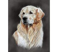 PPTRTYQ Dipingi con i Numeri per Adulti Bambini Ritratto dell'animale del Cane di Golden Retriever Pittura per Adulti con pennelli e pigmenti acrilici 16x20 Pollici Regalo Decorazioni per la casa