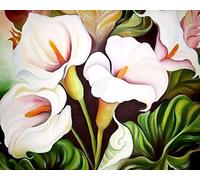 PPTRTYQ Kit per dipingere con Numeri per Bambini Adulti, Calla, Fiori Bianchi Immagine di Animali Home Wall Art Decor Regali di Disegno per Il Tempo Libero, 40X50CM