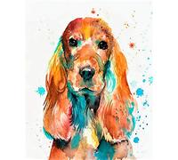 PPTRTYQ Kit per dipingere con Numeri per Bambini Adulti, Cocker Spaniel- Acquerello Animale Cane Immagine di Animali Home Wall Art Decor Regali di Disegno per Il Tempo Libero, 40X50CM