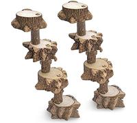 Pqahffowr Giochi con Piattaforma per Uccelli per Parrocchetto, Gabbia nel Legno Naturale, Supporto per Pappagalli Posatoi Piatti, Giocattolo per Arrampicarsi su Scaletta per Uccelli