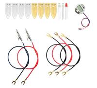 Pqahffowr Kit di Esperimenti Scientifici con Batterie alla Frutta con Orologio Elettronico e LED RGB per Giocattoli Didattici Domestici DIY