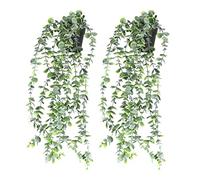 Pqahffowr Piante Artificiali nel Vaso Vite Finta Foglie Appese Un Casa Cucina Giardino Ufficio Decorazione da Parete per Matrimoni 2 Pezzi