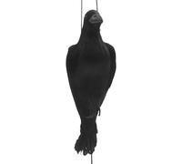 Pqahffowr Realistico Corvo Morto Appeso Un Grandezza Naturale Extra Large Corvo Piumato Nero