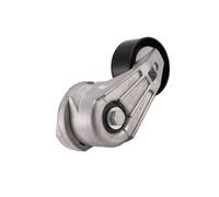 PQG500220 Gruppo Tendicinghia da 1 Pezzo per Pezzi di Ricambio per LR3 2007675