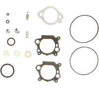 PQYSMVVG & 498260 Carburetor Overhaul Kit