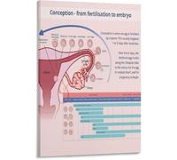 PQYSMVVG Conception Embryo Fetus Development Diagram Infographic Poster Educational Canvas Wall-Art Living Room Bedroom Home Decor(Framed,12x18inch(30x45cm))