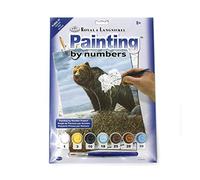 Pracht Creatives Hobby- Animale Royal & LangnickelPainting By Numbers Grizzly, Contiene Colori e Pennelli, per Adulti e Bambini dagli 8 Anni in su, Multicolore, Medio, 10272184
