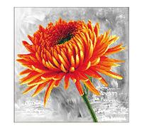 Pracht Creatives Hobby Ladybird Stickset Orange Dahlia, Set per Punto Croce di Circa 43 x 43 cm per Un Ricamo Quadrato, passatempo per Adulti e Bambini a Partire dagli 8 Anni di età, Multicoloured