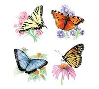 Pracht Creatives Hobby Royal & Langnickel - Disegno - Il Disegno Facile per Bambini a Partire da 8 Anni, Quattro Immagini con Motivi di Farfalle, introduzione Ideale al Disegno con matite Colorate