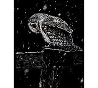 Pracht Creatives Hobby Royal & Langnickel Gufo da Grattare, Argento, Immagini da Grattare per Bambini e Adulti, con Penna e Sagoma da Grattare