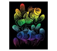 Pracht Creatives Hobby Royal & Langnickel-Quadro Pesce Pagliaccio Arcobaleno con Penna graffiante e sagoma, Adatto a Bambini e Adulti, Small, 4674-20361