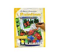 Pracht Creatives Hobby Royal & LangnickelFarfalle da Dipingere con I Numeri, Contiene Colori e Pennelli, per Adulti e Bambini dagli 8 Anni in su