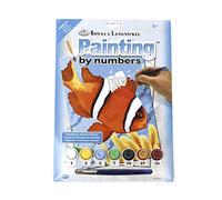 Pracht Creatives Hobby Royal & LangnickelPesce Pagliaccio da Dipingere con I Numeri, Contiene Colori e Pennelli, per Adulti e Bambini dagli 8 Anni in su