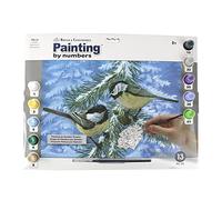 Pracht Creatives Hobby Royal & LangnickelPittura con I Numeri Tits, Contiene Colori e Pennelli, per Adulti e Bambini a Partire dagli 8 Anni di età