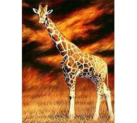 Pracht Creatives Hobby Set da dipingere con Diamanti, Quadro con Motivo Giraffa e Accessori, Dimensioni Circa 25 x 35 cm, Set da dipingere con Pietre Glitterate per Bambini dai 5 Anni in su