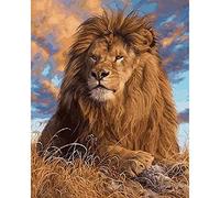 Pracht Creatives Hobby Set di Pittura con Diamanti, Quadro con Motivo di Leone e Accessori, Dimensioni Circa 25 x 35 cm, Set da dipingere con Pietre Glitterate per Bambini a Partire dai 5 Anni di età