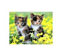 Pracht Creatives Hobby Set per dipingere con Diamanti, Quadro con Motivo di Gatto e Accessori, Set per dipingere con Pietre Glitterate, per Bambini a Partire dai 5 Anni di età